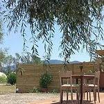 Meltheane *