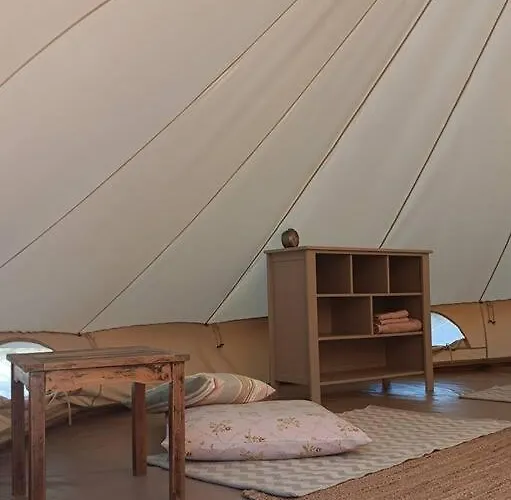 Meltheane Campo de lujo Ligia